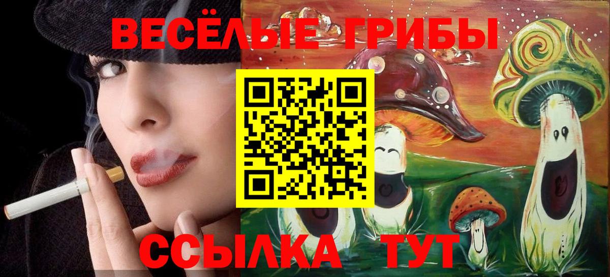 Верхняя Пышма  Галлюциногенные грибы мицелий  Вход с VPN 
