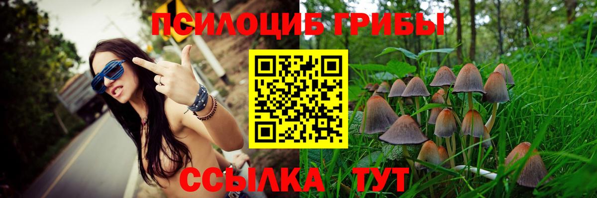 Галлюциногенные грибы GOLDEN TEACHER Верхняя Пышма